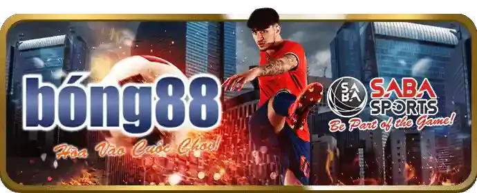 Giấy phép hoạt động kg88 chính thức